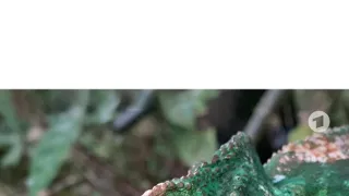 Neznámý Madagaskar (1/2)