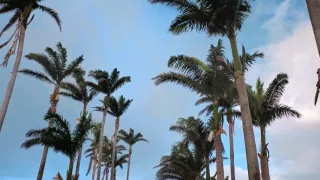 Malé Antily, tepajúce srdce