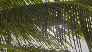 Malé Antily, tepajúce srdce