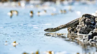 Zázračná planeta: Planeta Země III (1/8)