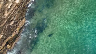 Zázračná planeta: Planeta Země III (1/8)