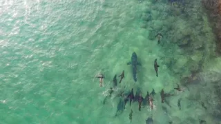 Zázračná planeta: Planeta Země III (1/8)