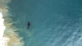 Zázračná planeta: Planeta Země III (1/8)