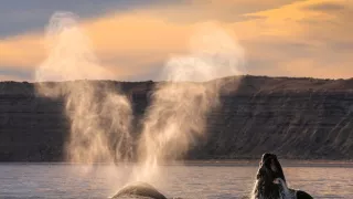 Zázračná planeta: Planeta Země III (1/8)