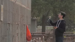 Píseň pro lásku aneb Primáti na seznamce