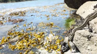 Zázračná planeta: Planeta Země III (1/8)