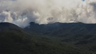 Divoké Kanárske ostrovy