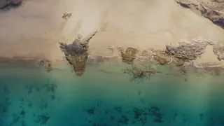 Divoké Kanárske ostrovy