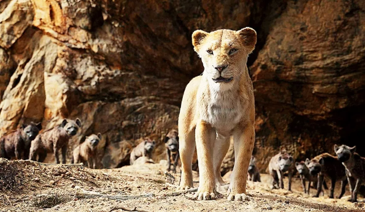 Leví kráľ (The Lion King), 2019 - fotogaléria