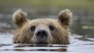 Aljaška, nekonečná krajina
