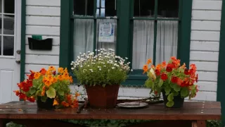 Aljaška, nekonečná krajina