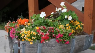 Aljaška, nekonečná krajina