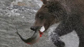 Aljaška, nekonečná krajina
