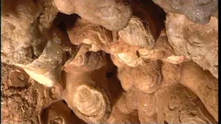 Vzhůru dolů! (6)