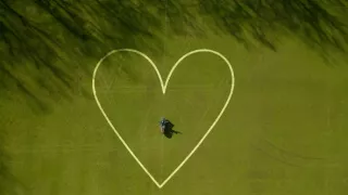 Emoce v umění (8/24)