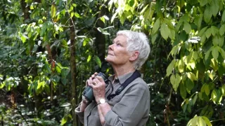 Divoké Borneo Judi Denchové (1/2)