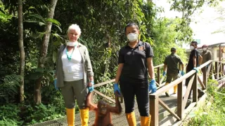 Divoké Borneo Judi Denchové (1/2)