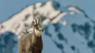 Bílá zima v horách Evropy