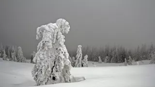 Bílá zima v horách Evropy