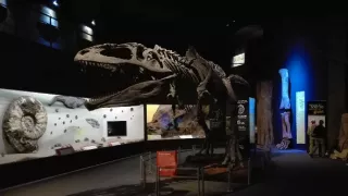 Na cestě po severní Patagonii