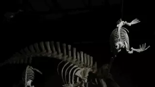 Na cestě po severní Patagonii