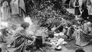 Vojna Adolfa Hitlera (1)