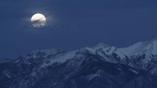 Narodení v Skalnatých horách (2/2)