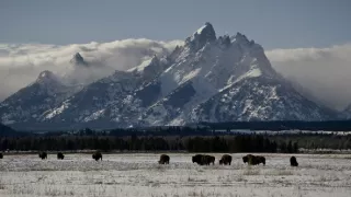 Narodení v Skalnatých horách (2/2)