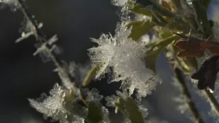 Narodení v Skalnatých horách (2/2)