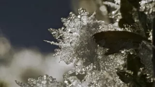 Narodení v Skalnatých horách (2/2)