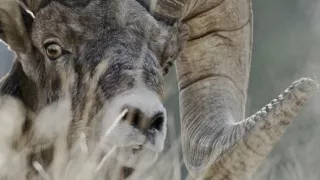 Narodení v Skalnatých horách (2/2)