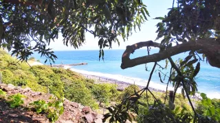 Na cestě po ostrově Madeira