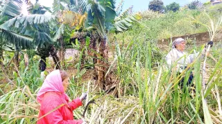 Na cestě po ostrově Madeira