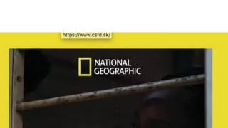 Väzňom v cudzine XI (1)