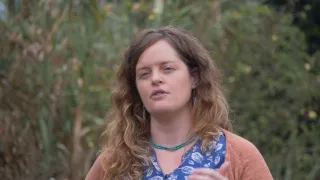 Zvieracia demokracia (1/2)