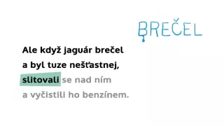 Karaoke čtení