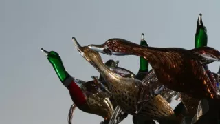 Na cestě po Benátkách