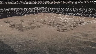 Príbeh hieroglyfov zo Sakkáry