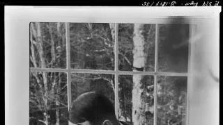 Vzestup a pád nacistů (1/10)