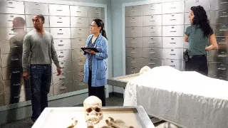 Bostonské vraždy IV (4)