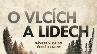 O vlkoch a ľuďoch