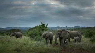 Krásy Jižní Afriky (1)