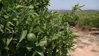 Na cestě po Valencii