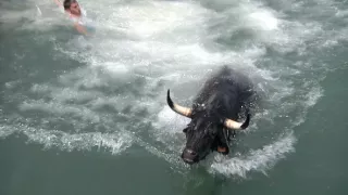 Na cestě po Valencii