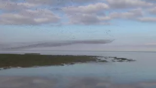 Na cestě po východní Anglii