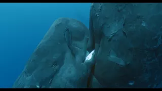 Vorvane - príbeh jednej rodiny