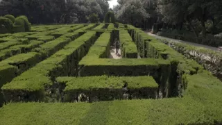 Emoce v umění (22/24)