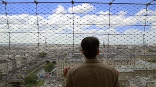 Emoce v umění (22/24)