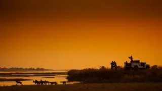 Zázračná planéta: Dynastie - film o cykle