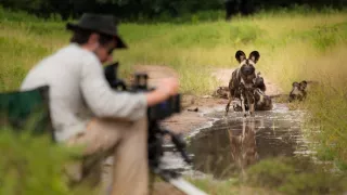 Zázračná planéta: Dynastie - film o cykle